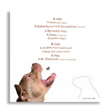 Afbeelding in Gallery-weergave laden, Y.O.P.E. &amp; AVVNT MM ‘Music for Dogs’
